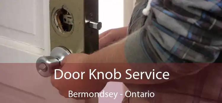 Door Knob Service Bermondsey - Ontario