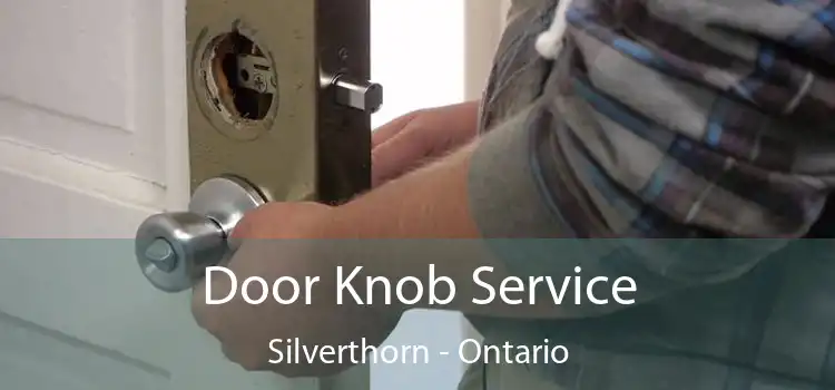 Door Knob Service Silverthorn - Ontario
