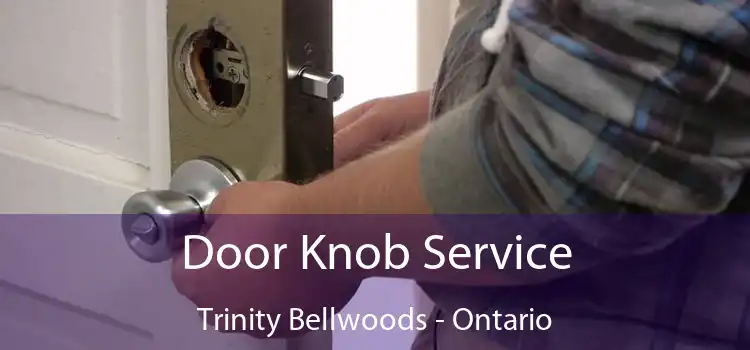 Door Knob Service Trinity Bellwoods - Ontario