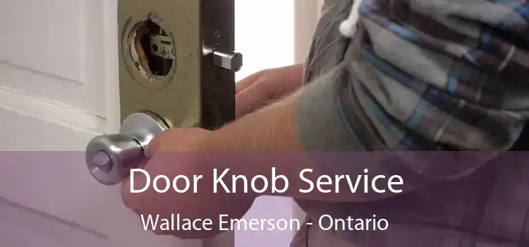 Door Knob Service Wallace Emerson - Ontario