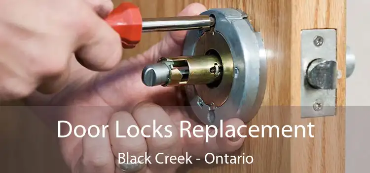 Door Locks Replacement Black Creek - Ontario