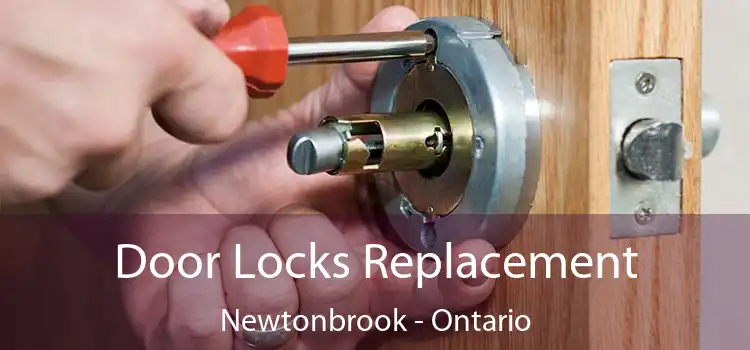 Door Locks Replacement Newtonbrook - Ontario