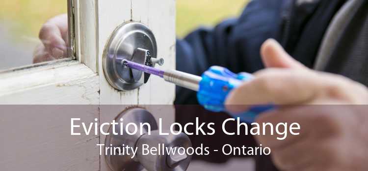 Eviction Locks Change Trinity Bellwoods - Ontario