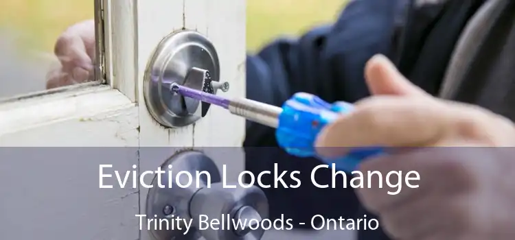 Eviction Locks Change Trinity Bellwoods - Ontario
