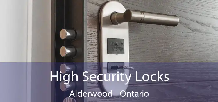 High Security Locks Alderwood - Ontario
