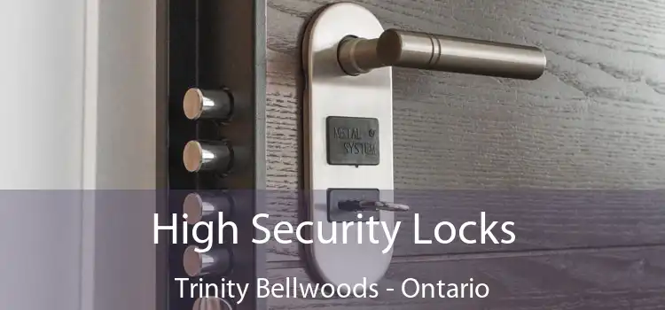 High Security Locks Trinity Bellwoods - Ontario
