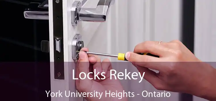 Locks Rekey York University Heights - Ontario
