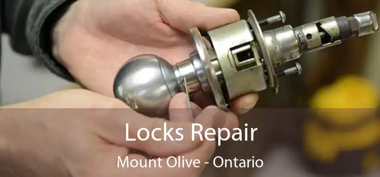 Locks Repair Mount Olive - Ontario