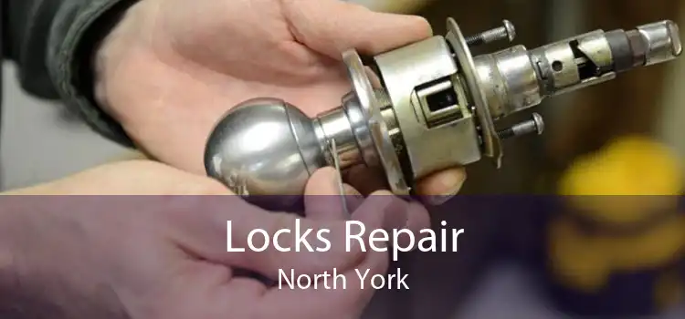  Locks Repair North York