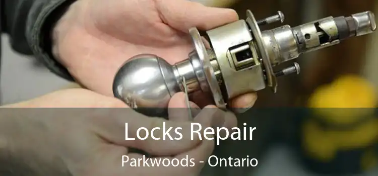 Locks Repair Parkwoods - Ontario