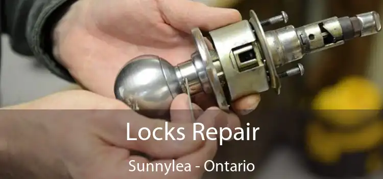 Locks Repair Sunnylea - Ontario
