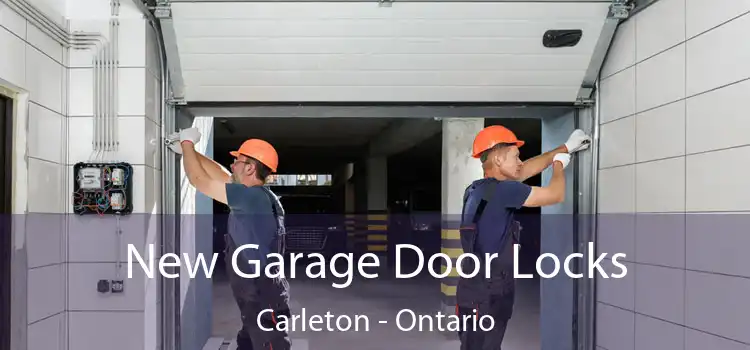 New Garage Door Locks Carleton - Ontario