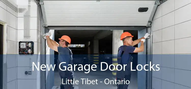 New Garage Door Locks Little Tibet - Ontario