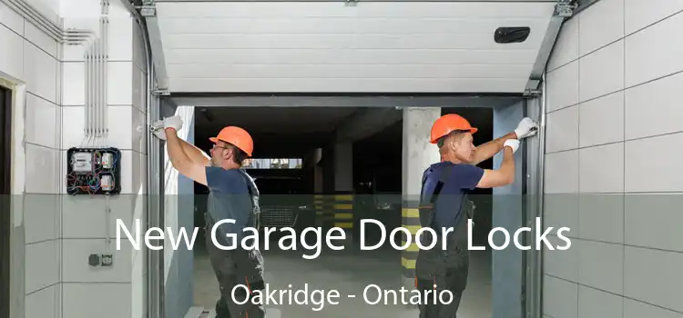 New Garage Door Locks Oakridge - Ontario