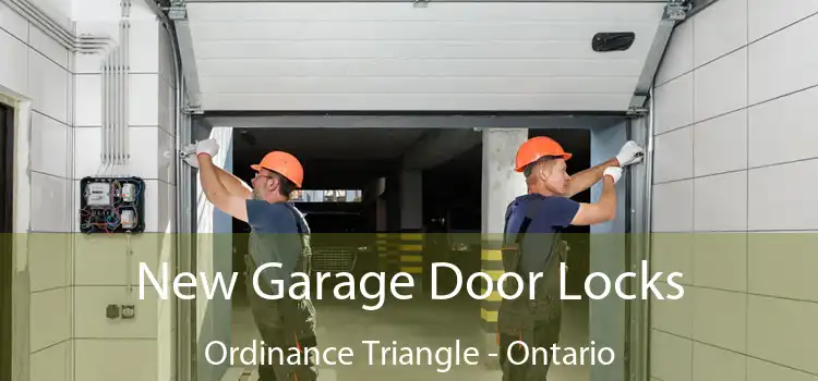 New Garage Door Locks Ordinance Triangle - Ontario
