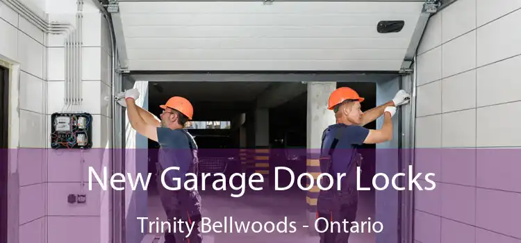 New Garage Door Locks Trinity Bellwoods - Ontario